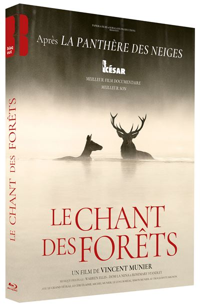 Le Chant des forêts Blu-ray