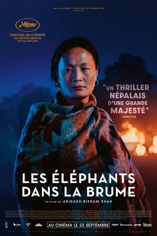 Affiche du film Les Éléphants dans la brume