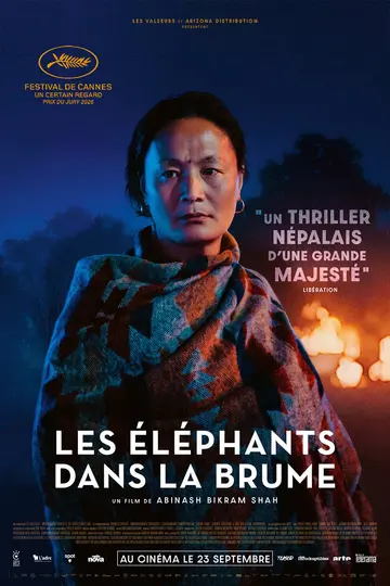 Les Éléphants dans la brume