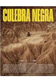 Affiche 3 de La Couleuvre noire