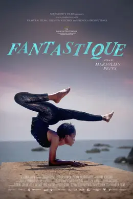 Affiche de Fantastique