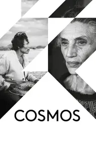 Affiche du film Cosmos