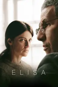 Affiche du film L'Affaire Zanetti