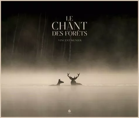 Le Chant Des Forêts