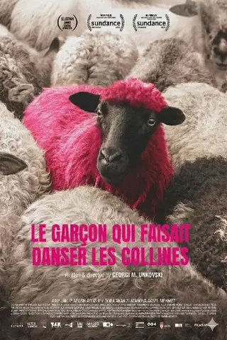 Le Garçon qui faisait danser les collines