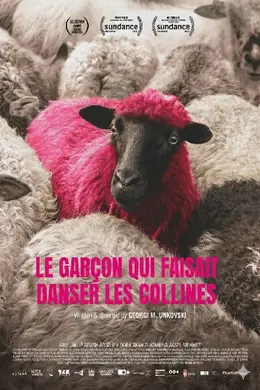 Affiche de Le Garçon qui faisait danser les collines