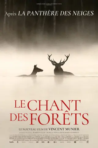 Affiche de Le Chant des forêts