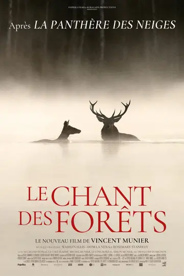 Affiche de Le Chant des forêts