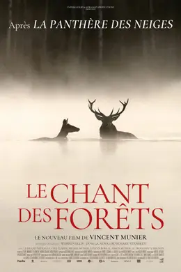 Affiche de Le Chant des forêts