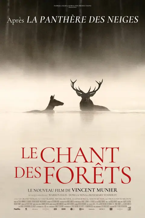 Poster du film Le Chant des forêts