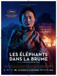 Affiche 3 de Les Éléphants dans la brume