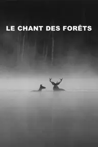 Affiche 4 de Le Chant des forêts