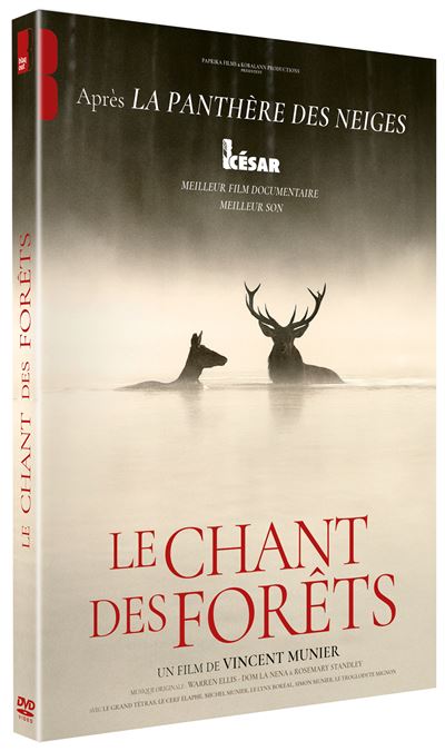 Le Chant des forêts DVD
