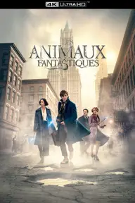 Affiche 6 de Les Animaux Fantastiques
