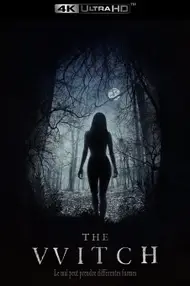 Affiche du film The Witch