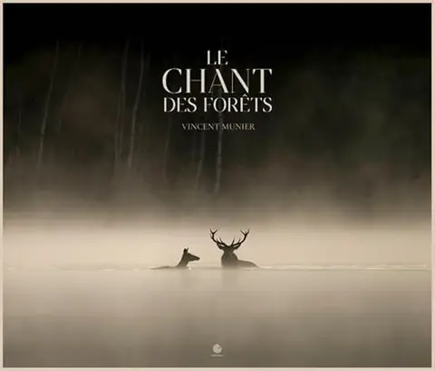 Le Chant des forêts - Vincent Munier - Kobalann Eds - relié - Beau livre