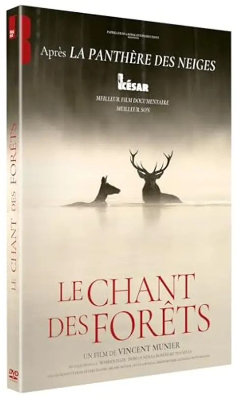 Le chant des forêts - dvd
