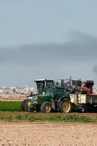 Affiche 2 de Collapse (Face à Gaza)