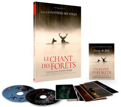 Le Chant des forêts Combo Blu-ray DVD